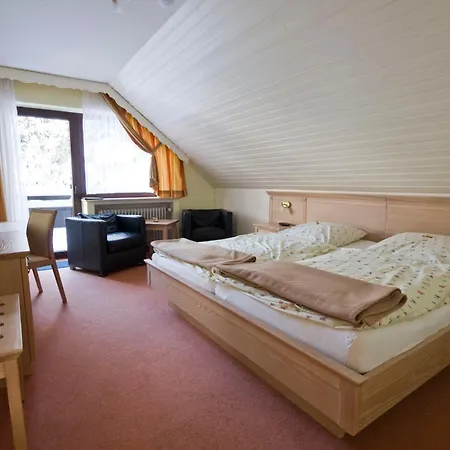 Hotel Fischer 3*