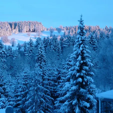 Hotel Fischer 3*