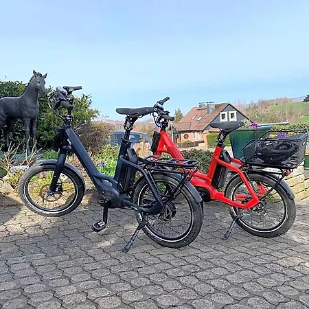 Hotel Fischer 3*