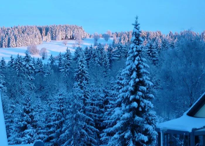 Hotel Fischer 3*