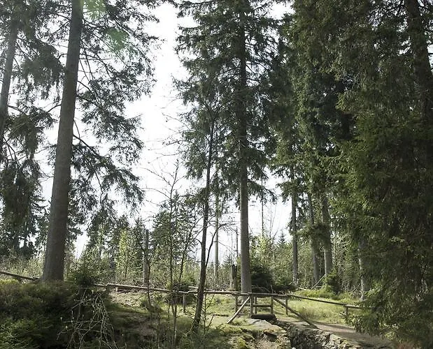 Fischer Sankt Andreasberg