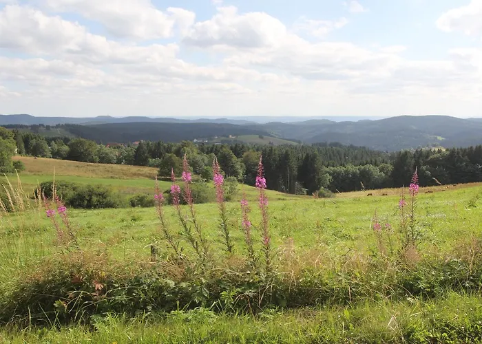 Fischer Sankt Andreasberg